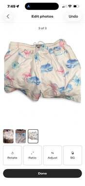 Spicy Tuna Flamingo And Floral Print Swim Trunks Size Large